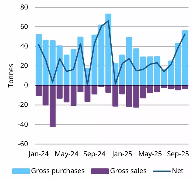 Monthly reported central banks activity, tonnes*