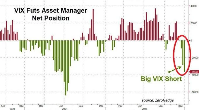 VIX Futures Asset Manager Net Position