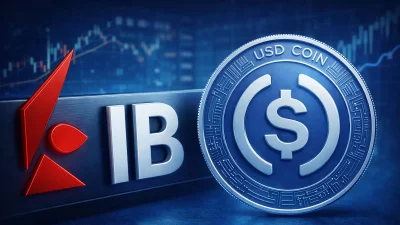 Interactive Brokers USDC